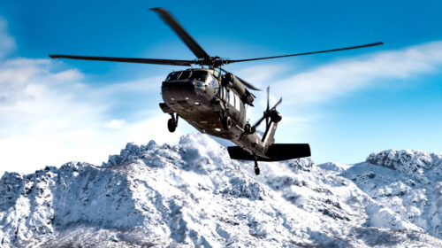 Government Discretion in Considering Disputed Past Performance Information