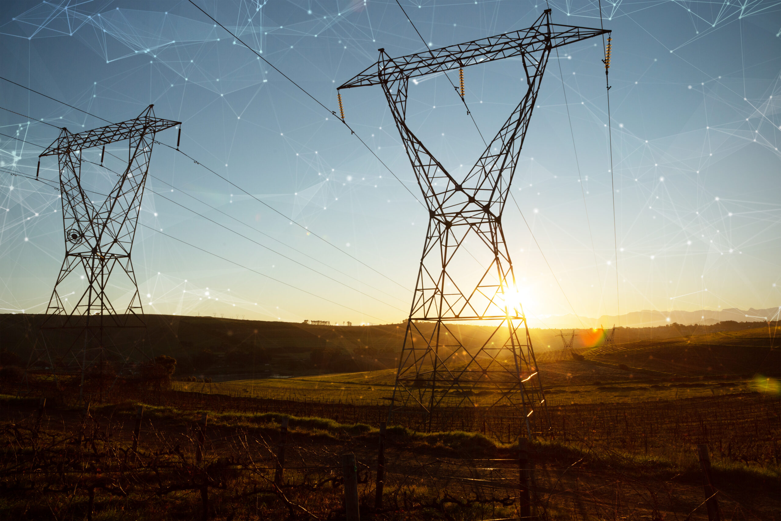 Plain Meaning Interpretation in Federal Contracts