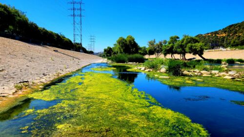 Recovering Under a Type I Differing Site Conditions Claim